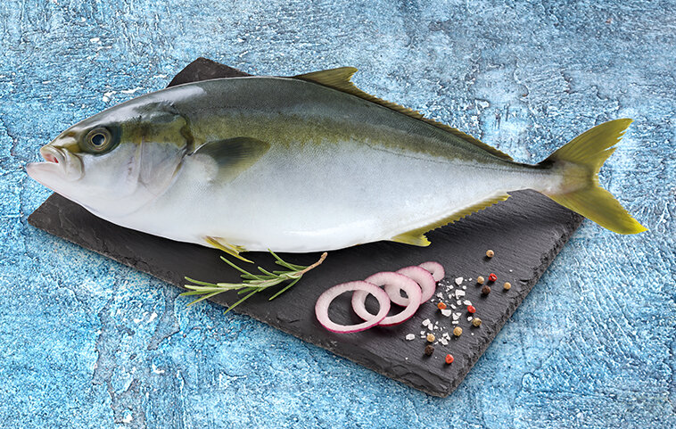 Conad_ricciola-oceanica.jpg